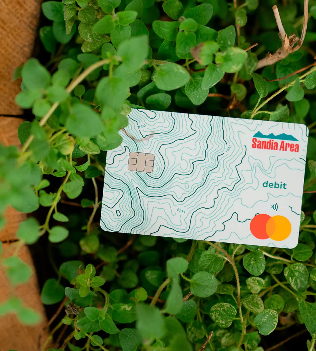 field guide on the ground showing 5% cash back and a debit card