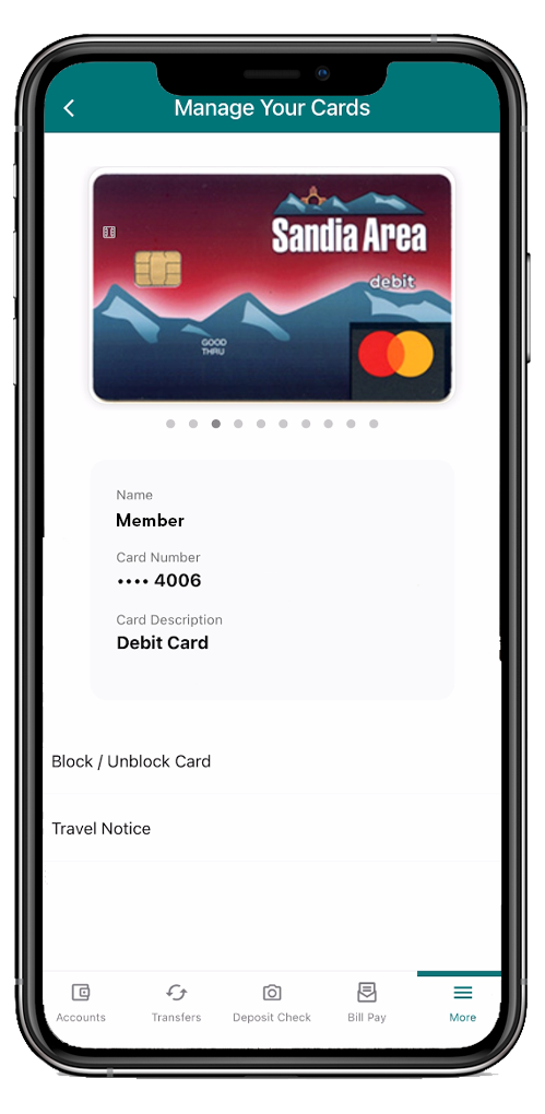 Debit Card Control Homescreen