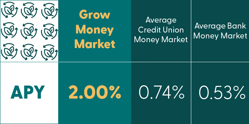 grow money market visual APY comparison