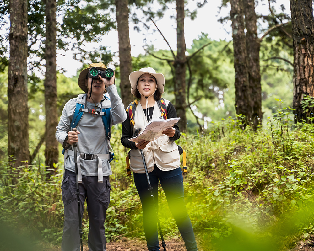middle aged couple bird watching in mountains