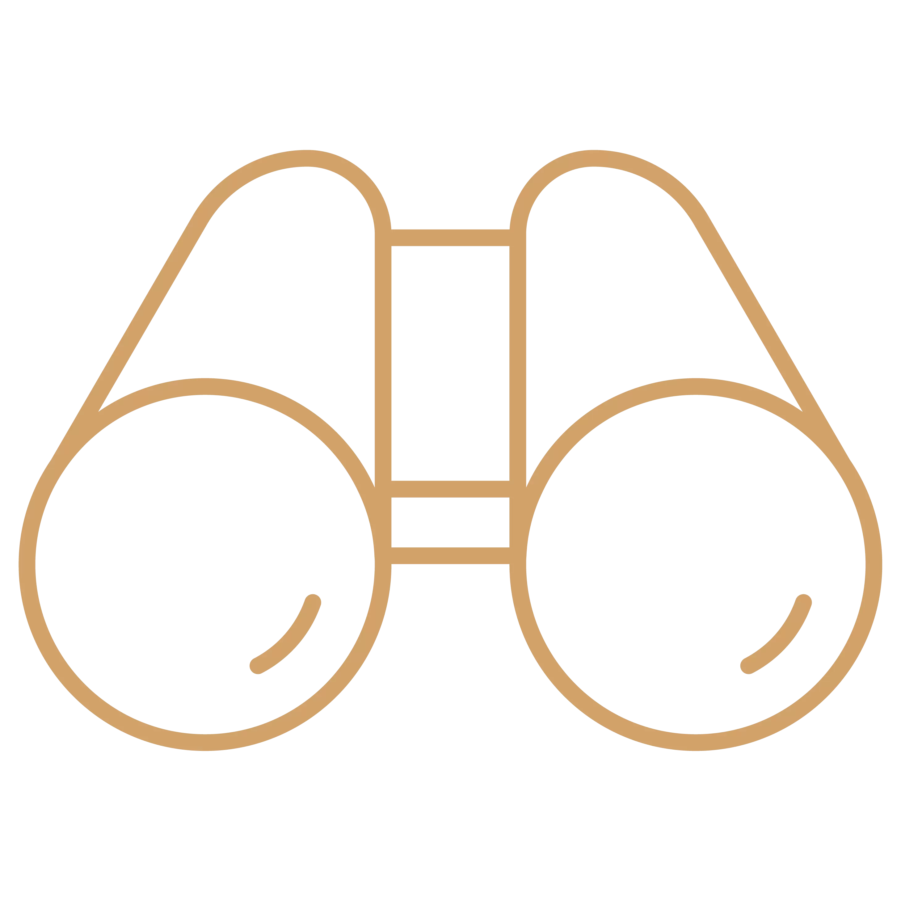 Vision icon