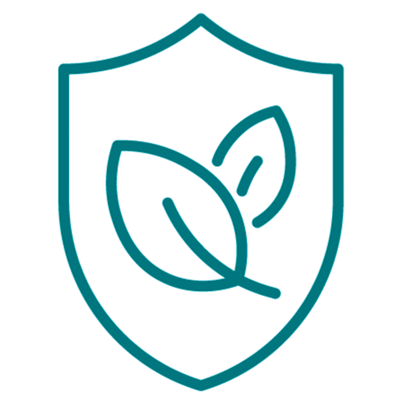 shield with leaf icon